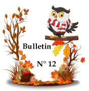 Bulletin 12