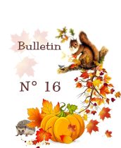 Bulletin 16